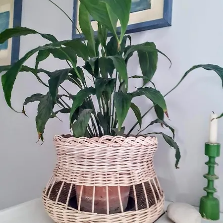 Le Origini Casa In Borgo Tipico Lucano Appartamento