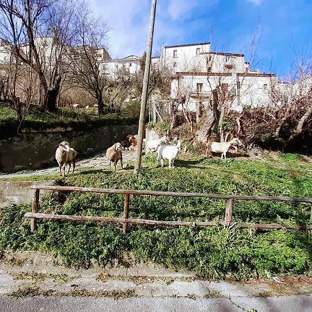 Le Origini Casa In Borgo Tipico Lucano Appartamento